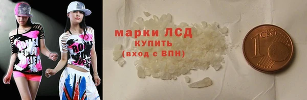 ПСИЛОЦИБИНОВЫЕ ГРИБЫ Михайлов